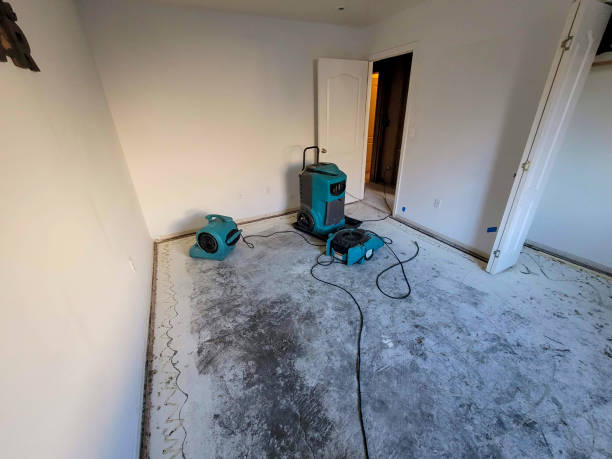 Best Flooded house restoration  in Jamestown, CA