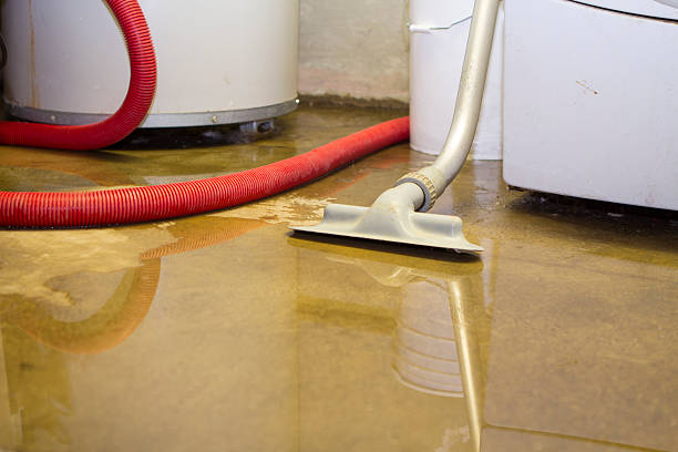 Best 24/7 water damage repair  in Jamestown, CA