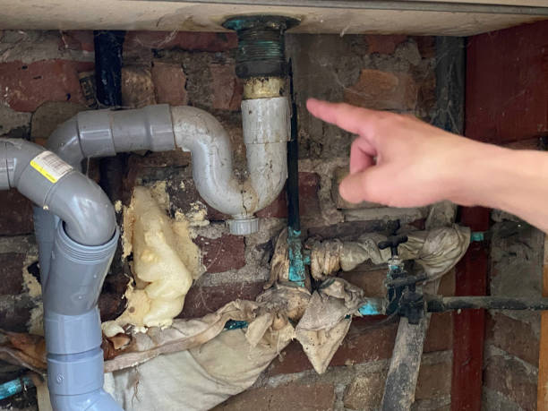 Best Water damage contractors near me  in Jamestown, CA